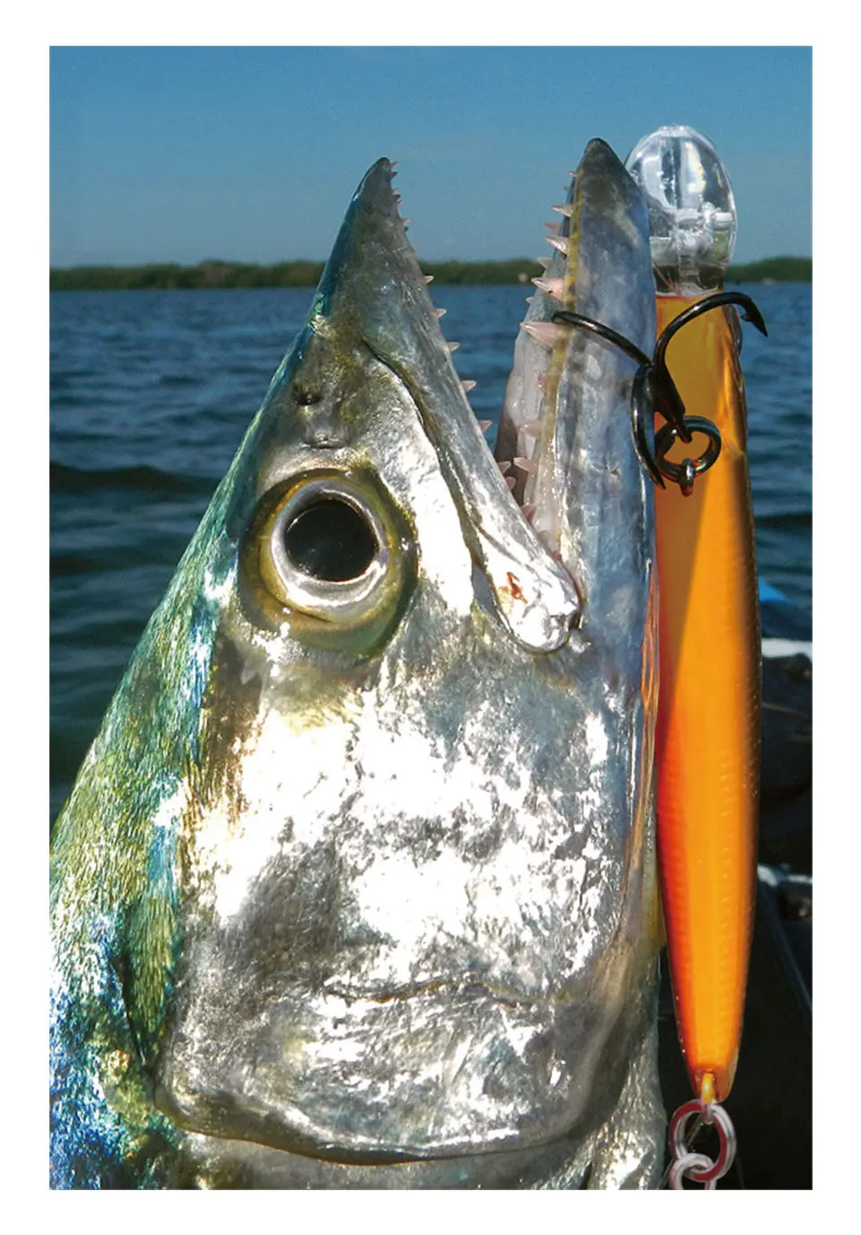 

Minnow Fishing Lure Hard Bait 1pcs 50mm 6.8g Artificial Bait Wobblers Crankbait Topwater Magner System Fishing Tackle