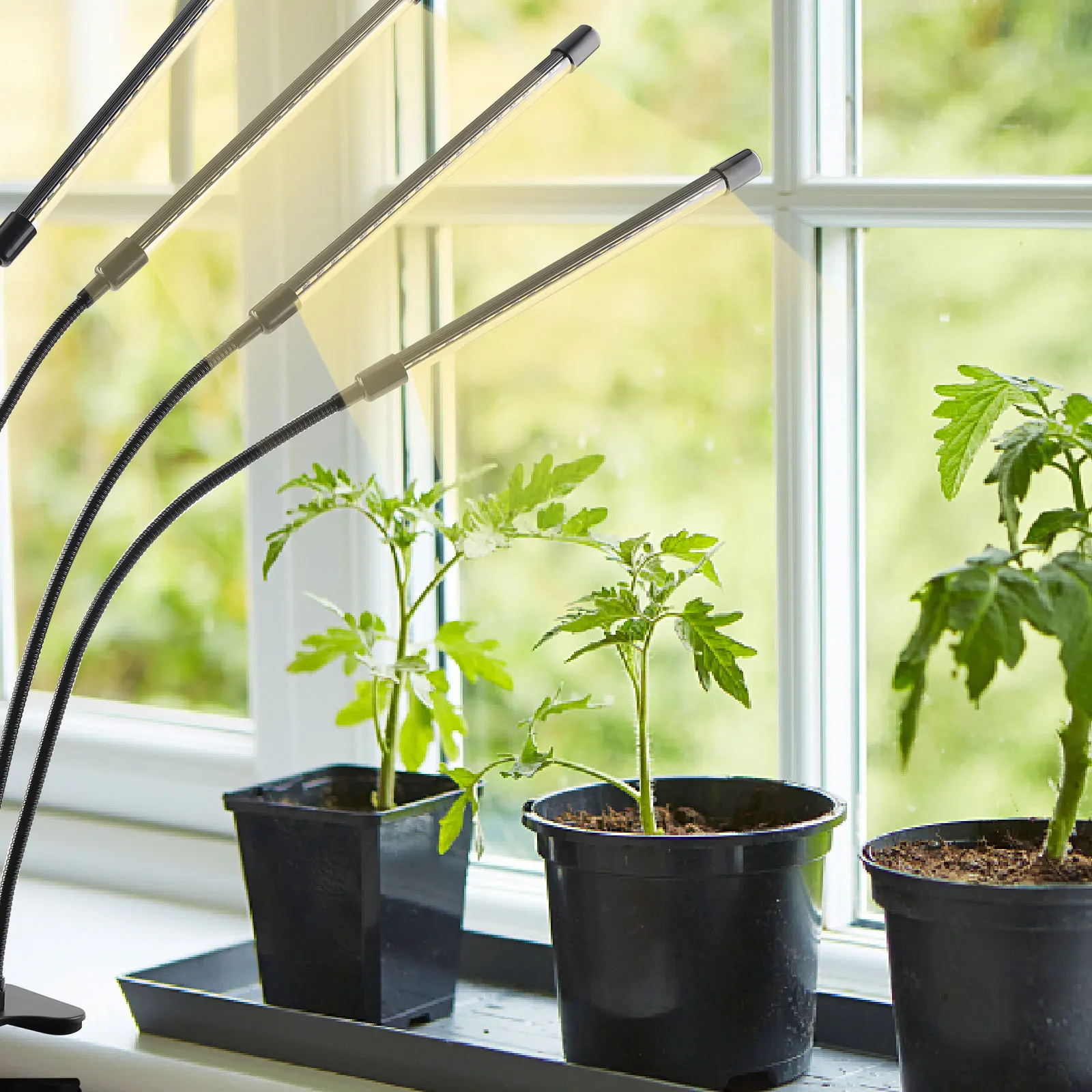 

Светильник для выращивания растений с клипсой, полный спектр, с управлением через приложение для телефона, для комнатных растений, 5 яркосте...