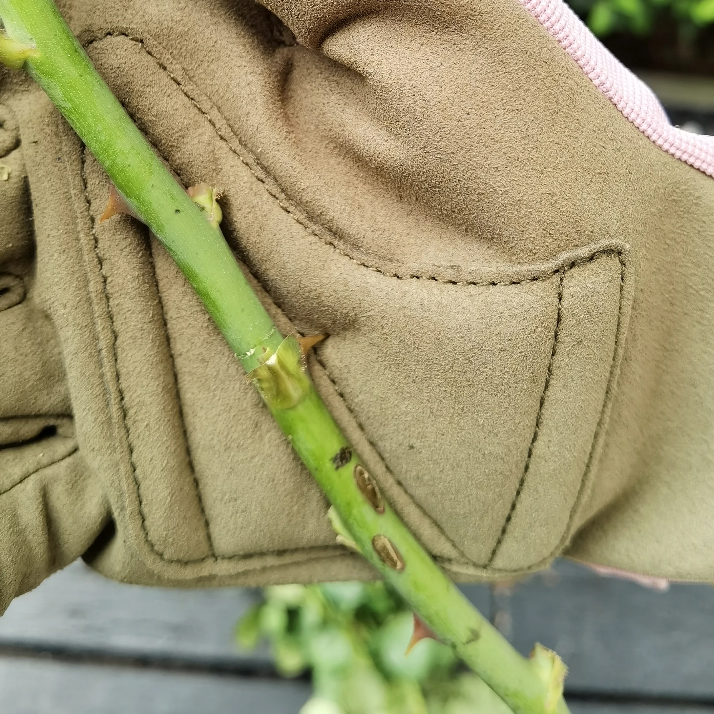 Женские садовые перчатки розовые для работы и из кожи|Садовые перчатки| |