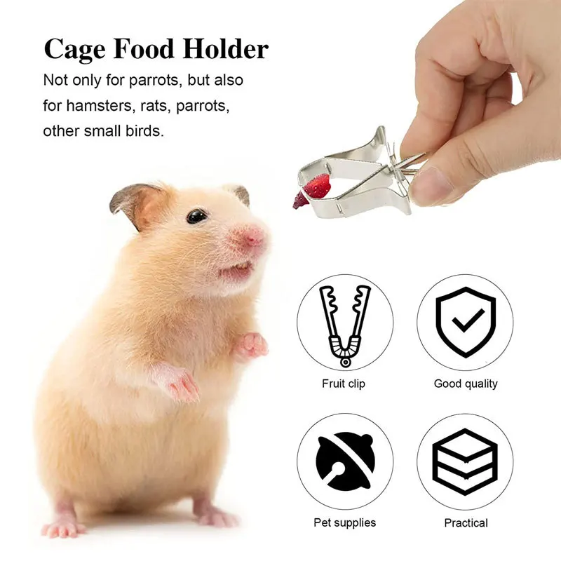 

1SET Small Pet Food Holder Bird Parrot Fruit Vegtable Clip Feeder Feeding Device Pin Clamp Durable Bird Cage Accessories