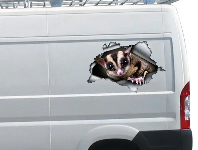 

2021 Sugar Glider car decal, Sugar Glider magnet, Sugar Glider sticker, pet decal
