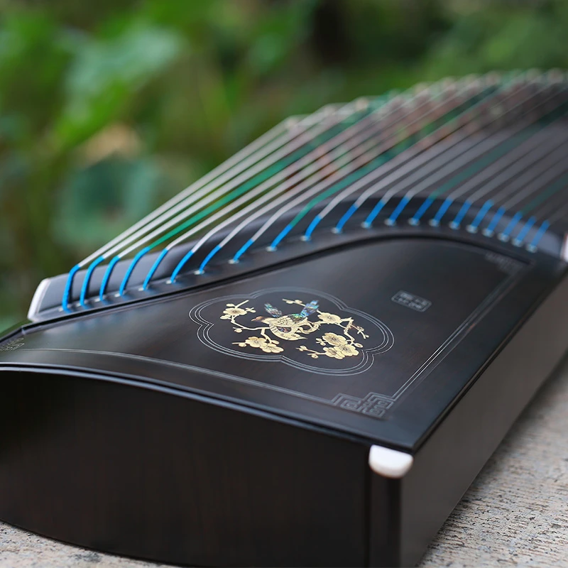 Профессиональные ракушки рытье производительность Китай Guzheng музыка Эбеновое