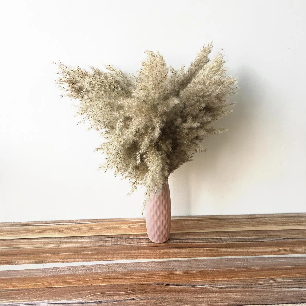 10pcs beautiful natural pampas grass dried flower matching plastic vase for wedding stage decoration Natural bouquet | Дом и сад