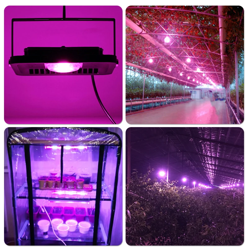 

LED Lamp UV Germicidal Light GU10 E27 MR16 E14 UV Disinfection Lamp LED Sterilizer Lamp 2835 SMD 220V 240V Ultraviolet led lamp