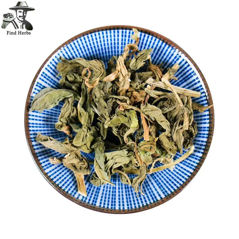 

Lysimachia foenum-graecum Hance, Ling Xiang Cao, Ling Xiang