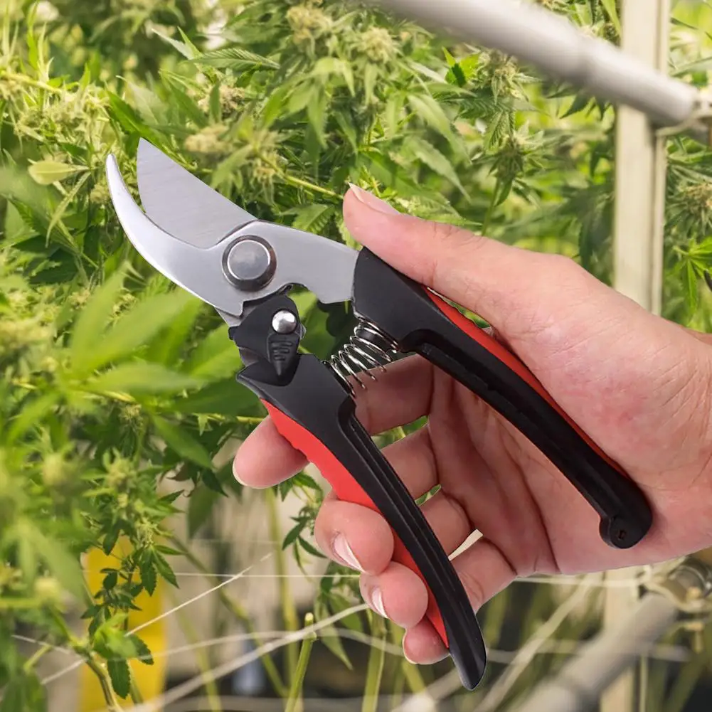 

Garden Pruning Shears Labor-saving Fruit Tree Thick Branch Shears Flat Hose Ring Clamp Ring Pliers Gardening Pruning Shears