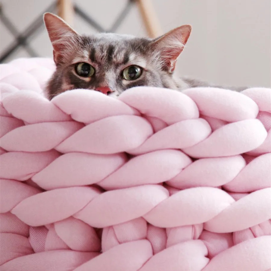 

Pet Products