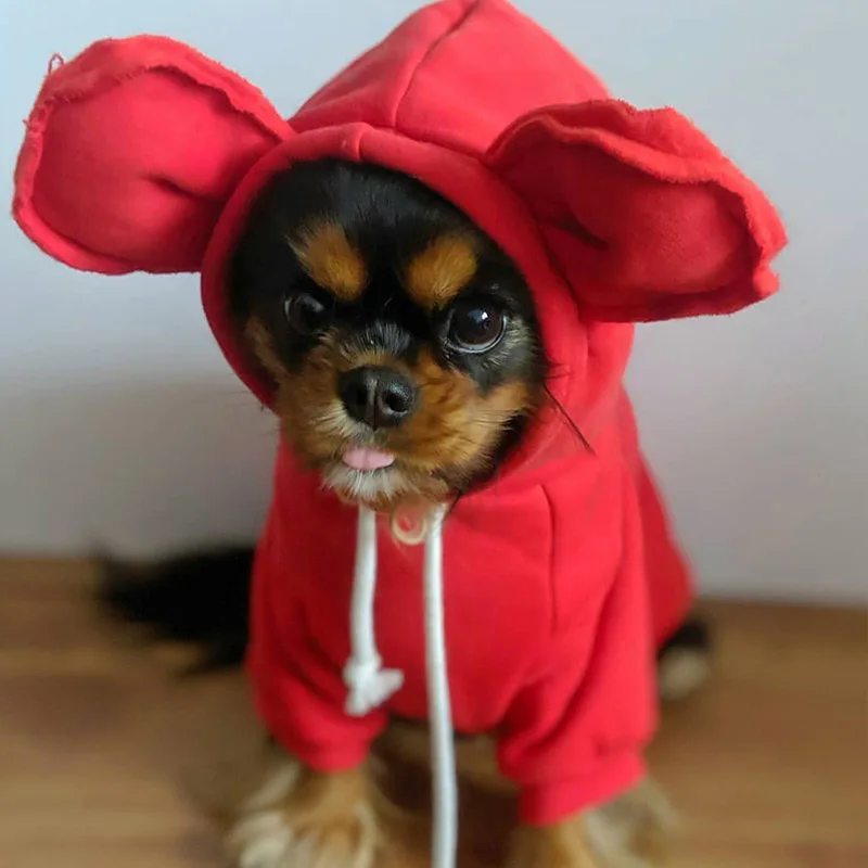 Зимняя толстовка с капюшоном для собак одежда французского бульдога костюм