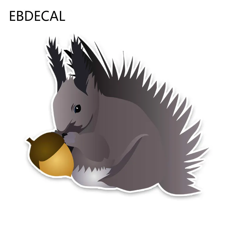 Ebdeckle Серый Милый Белка ПВХ мотоцикл наклейка для Авто/бампер/окно/настенные