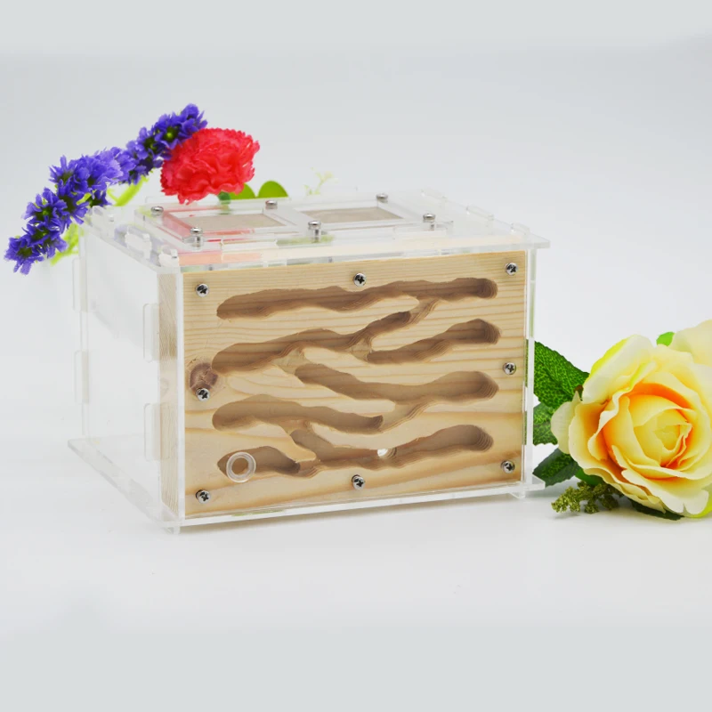 

Акриловый деревянный муравейник для домашних животных, живой муравьиный замок, муравьиный дом, Муравьиное гнездо, муравьиная ферма, муравь...