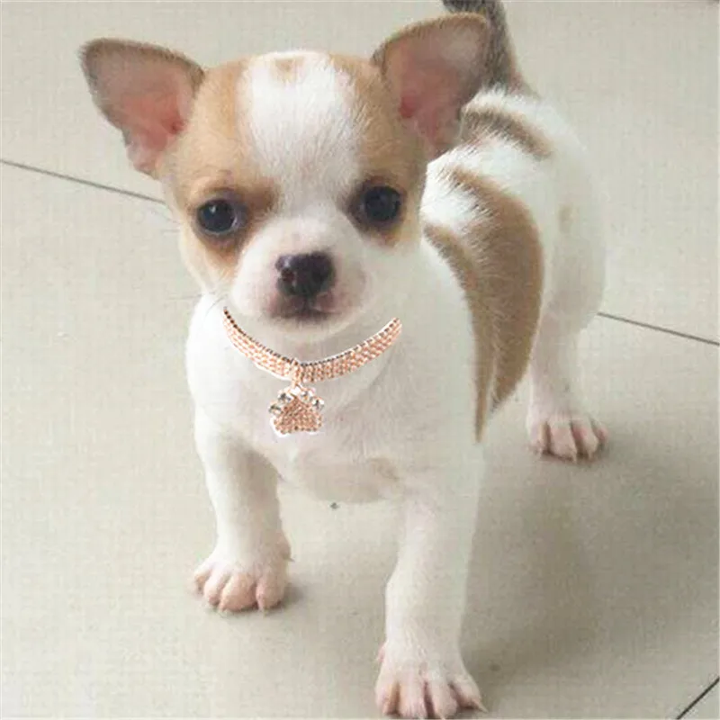 Украшенный кристаллами ошейник для собак Алмазный щенок Блестящий Полный Стразы