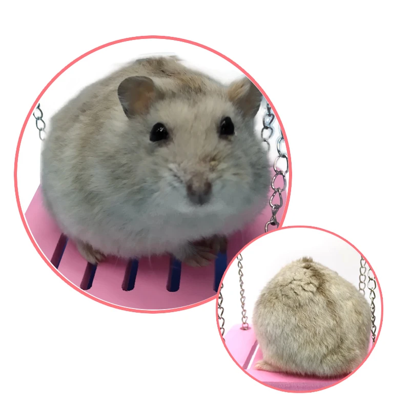 Симпатичный Хомяк-попугай маленькая подвесная кровать стряхивающийся домик