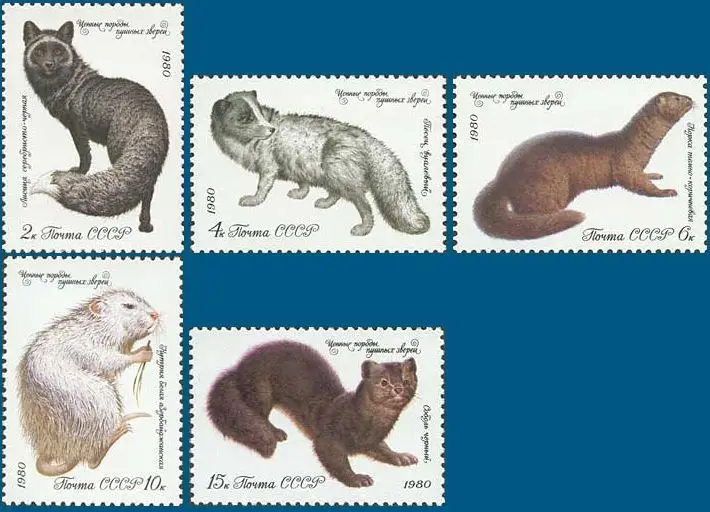 

Новинка, штамп CCCP, 5 шт./компл., 1980 драгоценный мех, животные, СССР, штампы MNH