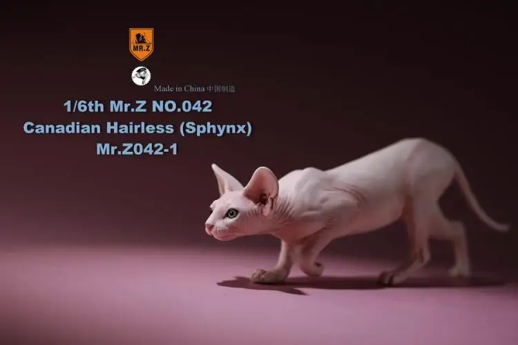 

M R.Z MRZ042, , , 12