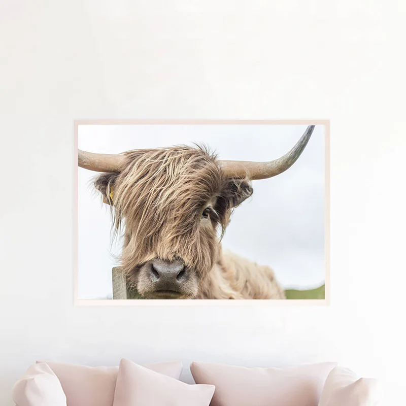 Highland корова Wall Art Холст Картины постеры с животными и принты Nordic украшение стены