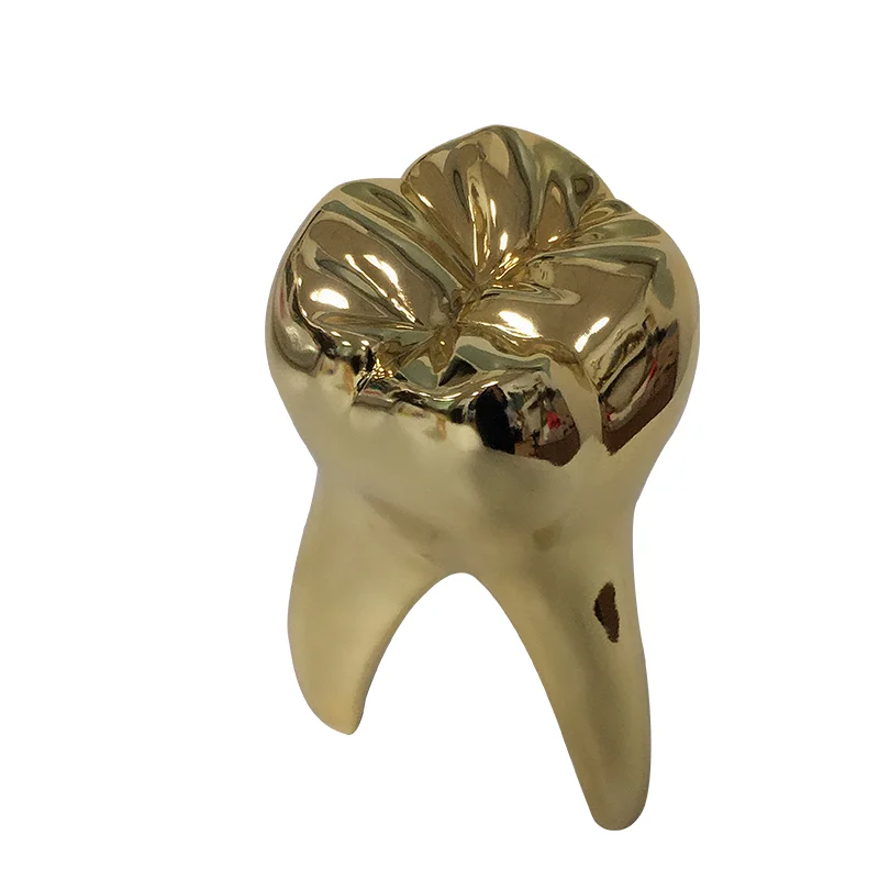 Маленькая модель золотистых зубьев искусство стоматология подарки клиника