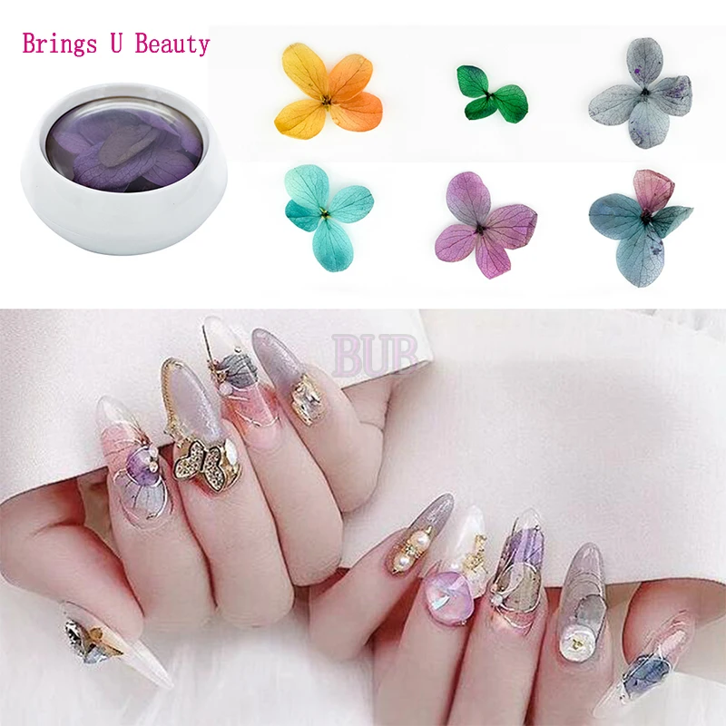 6 Pot 3D настоящие сушеные сухие цветочные украшения для ногтей натуральные