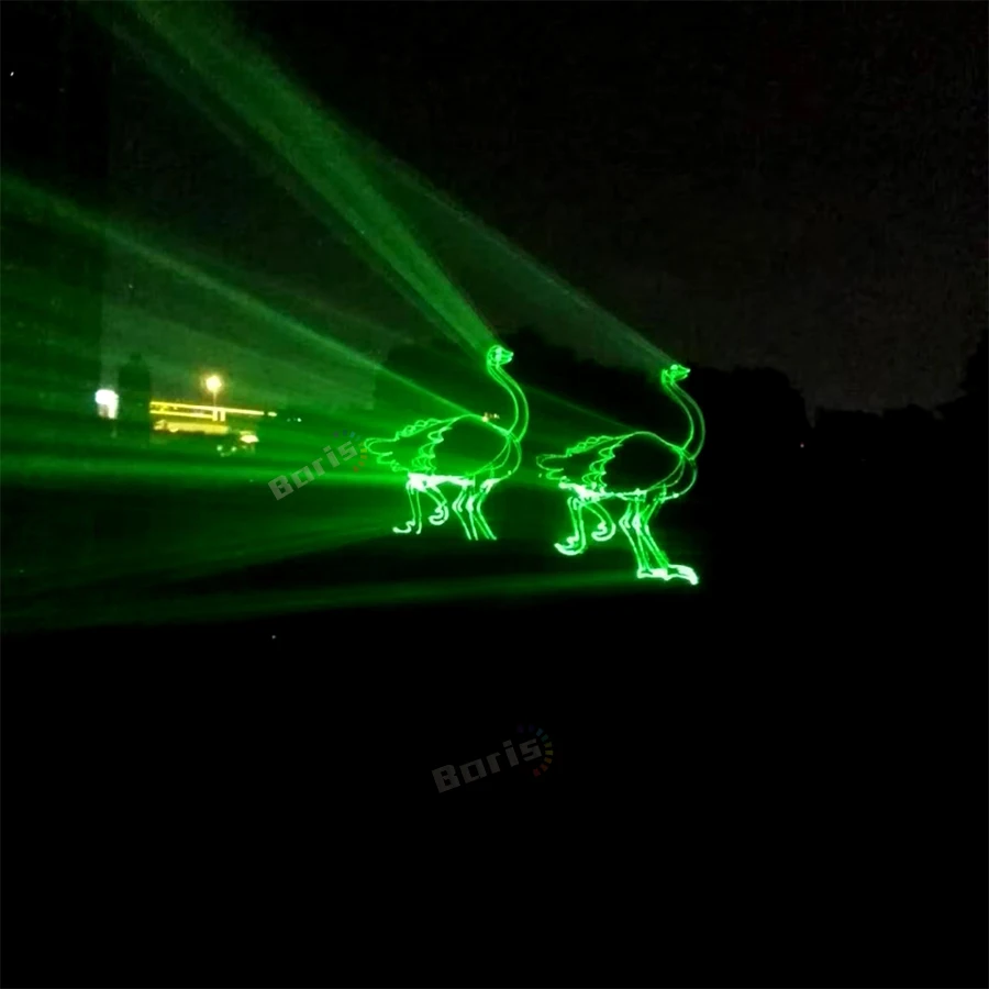 Зеленый 1 Вт лазерный проектор сценический светильник анимационный s 2 мультфильм