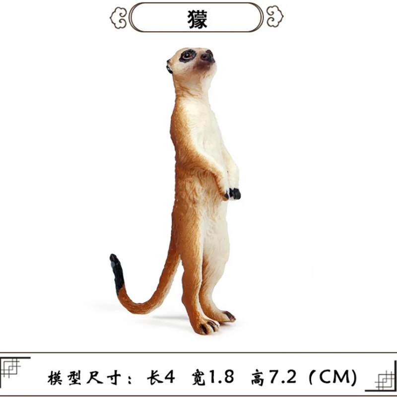 Meerkat Животные модель фигурку моделирование диких экшн-фигурки животных