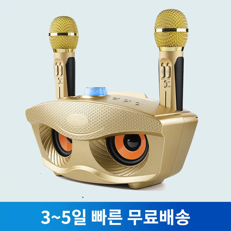 SD306 портативный Семейный караоке система два беспроводных микрофона с 20 Вт