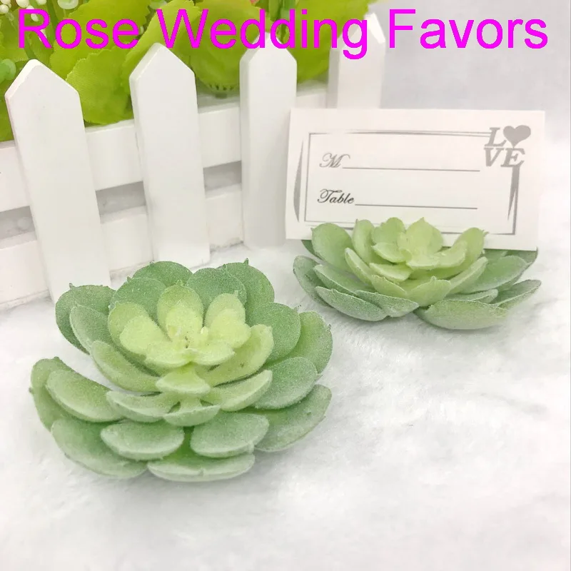 (10 шт./лот) Бесплатная доставка + держатели для карт/фотографий из суккулентов с