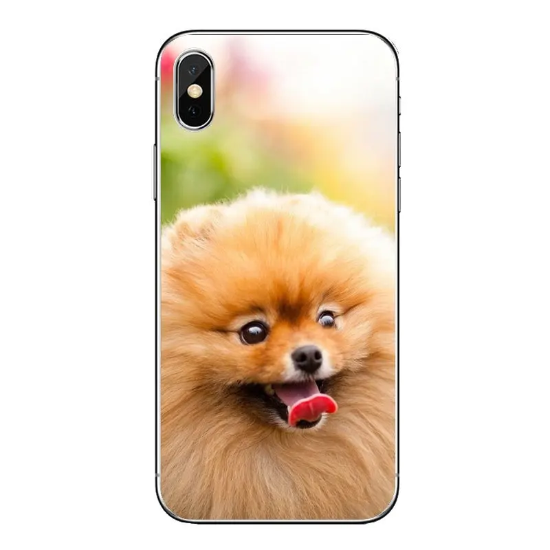 Мягкий прозрачный просвечивающийся чехол Чехлы шпиц собаки для Xiaomi Redmi 4x S2 3S Note 3 4
