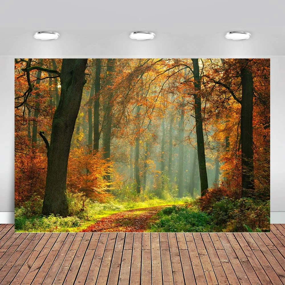 

Осенний кленовый лес фон для фотосъемки с изображением на открытом воздухе природные пейзажи осенние листья Зеленая трава Лиственные фон в...