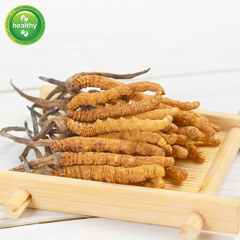 

Chinese Caterpillar Fungus(Dong Chong Xia Cao) Wild Cordyceps Sinensis;Winterworm Summerherb 3g Cordyceps Sinensis Powder