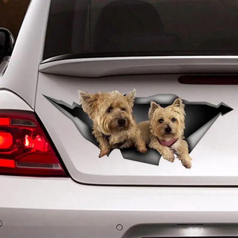 

2021 Cairn Terrier car decal , Vinyl decal, dogs sticker, funny decal, pet decal