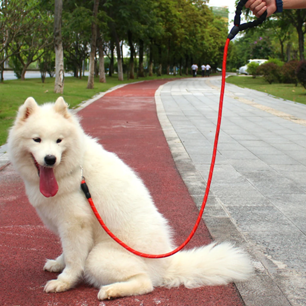 Качественный толстый нейлоновый собачий поводок удобный Светоотражающий