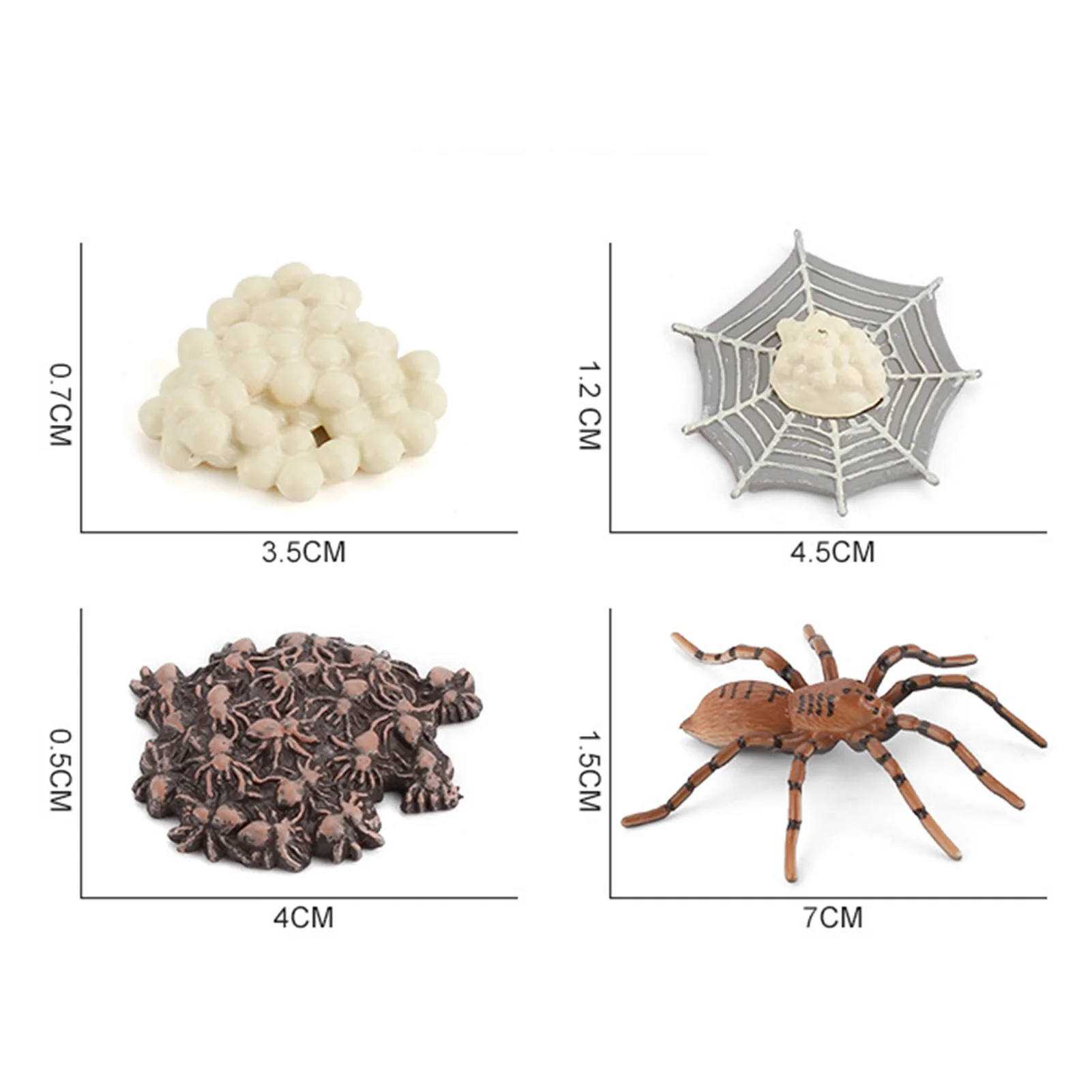 

4Pcs Simulation Ladybug Spider Animal Growth Model Educational Toy Kids Gift