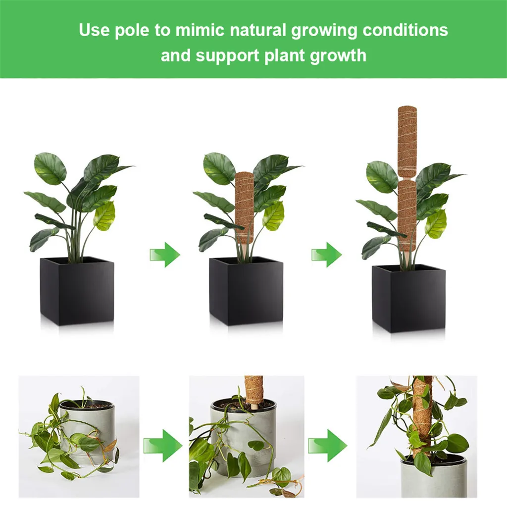 Coir Totem Pole 12 дюймов Moss Stick для поддержки Крипера кольцо s прочная подставка