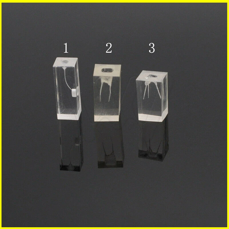 Dental School Resin Endodontic Student Study Teaching Practice Operation Model | Красота и здоровье