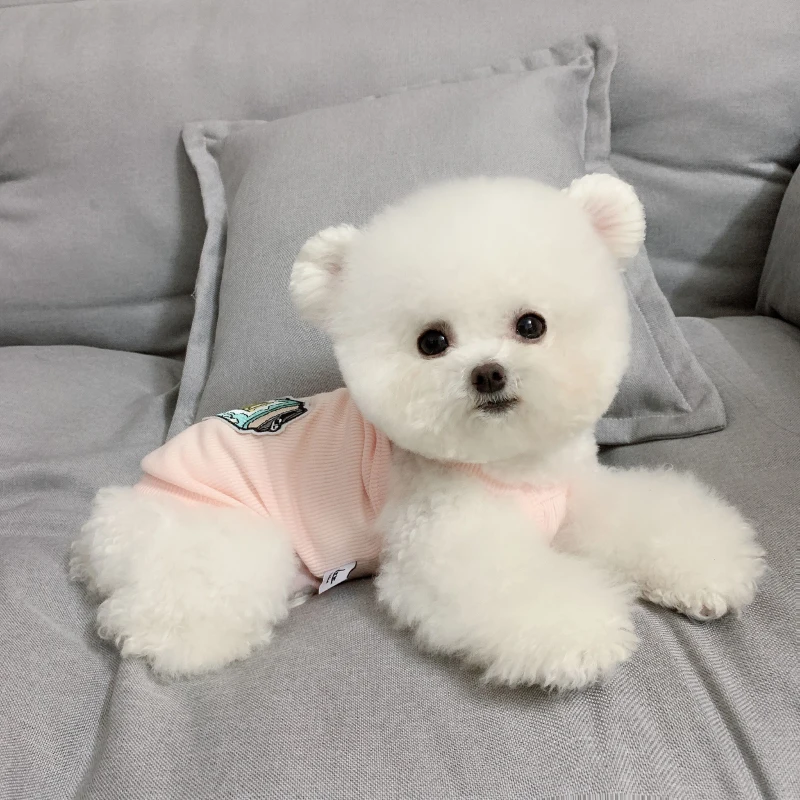 XXS одежда для маленьких собак юбка в виде кошки чихуахуа искусственная пудель