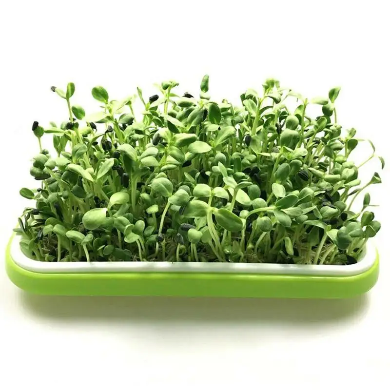 Ростки фасоли кассета для рассады Пластик 2 слоя гидропоники цветок домашнее