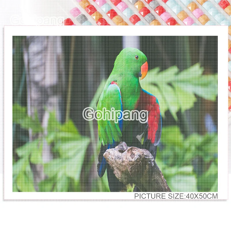 

Diamond Embroidery Painting Kawaii Green Blue Red Parrots DIY Rhinestones Square or Round Diamond for Home Rooms Wall Decoration