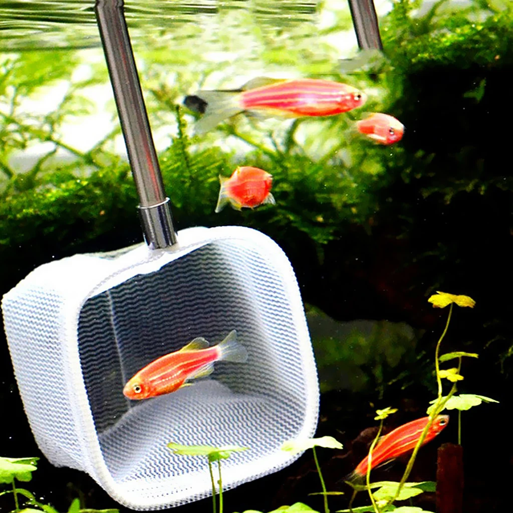 

Stainless Steel + Mesh Soft Cleaning Mesh Net for Aquarium or Fish Tank