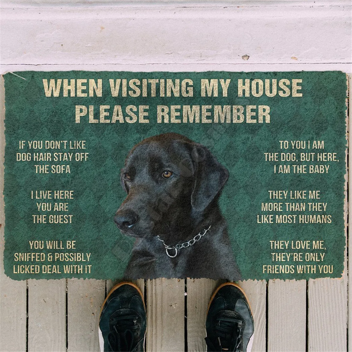 

3D Printed Please Remember Dogs House Rules Custom Doormat Non Slip Door Floor Mats Decor Porch Doormat 04