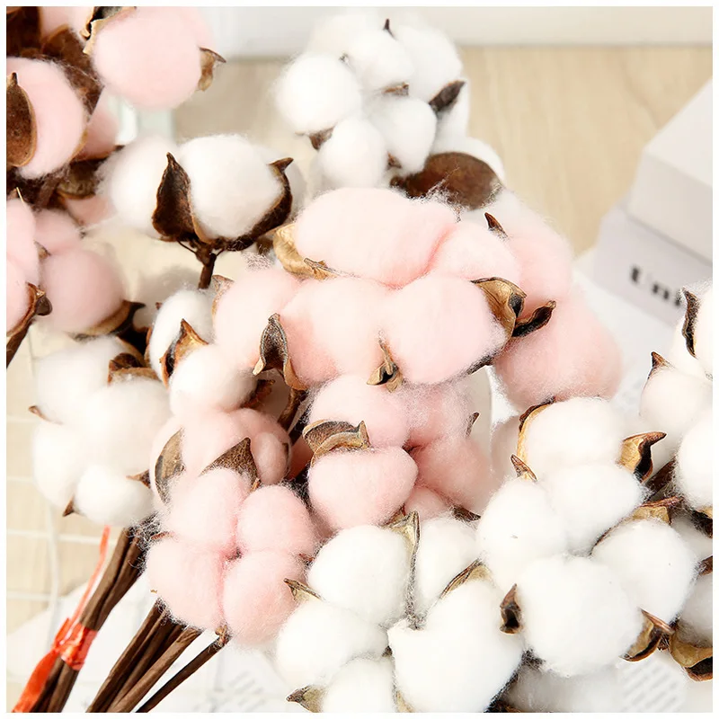 10 листов сушеных хлопковых ветвей искусственный букет DYI натуральное креативное