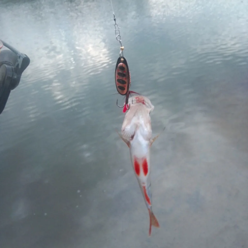 WALK FISH 3 шт./лот приманка для рыбной ловли Размер 2 5 блесна ложка 1 г в виде пера