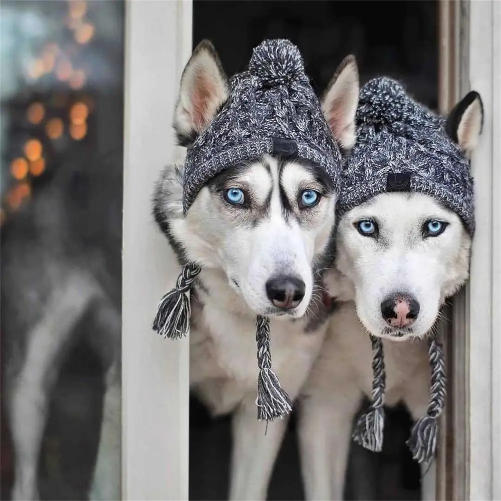 Зимняя шапка Очаровательная теплая кепка для собак с помпоном связанный крючком