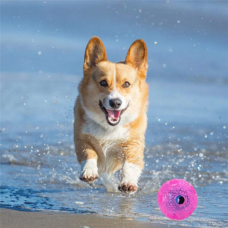 Автоматический питательный мяч нетоксичный пластик TPR резиновая игрушка для