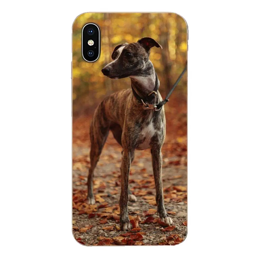 Galgo собака Грейхаунд для Galaxy J1 J2 J3 J330 J4 J5 J6 J7 J730 J8 2015 2016 2017 2018 mini Pro красочные |