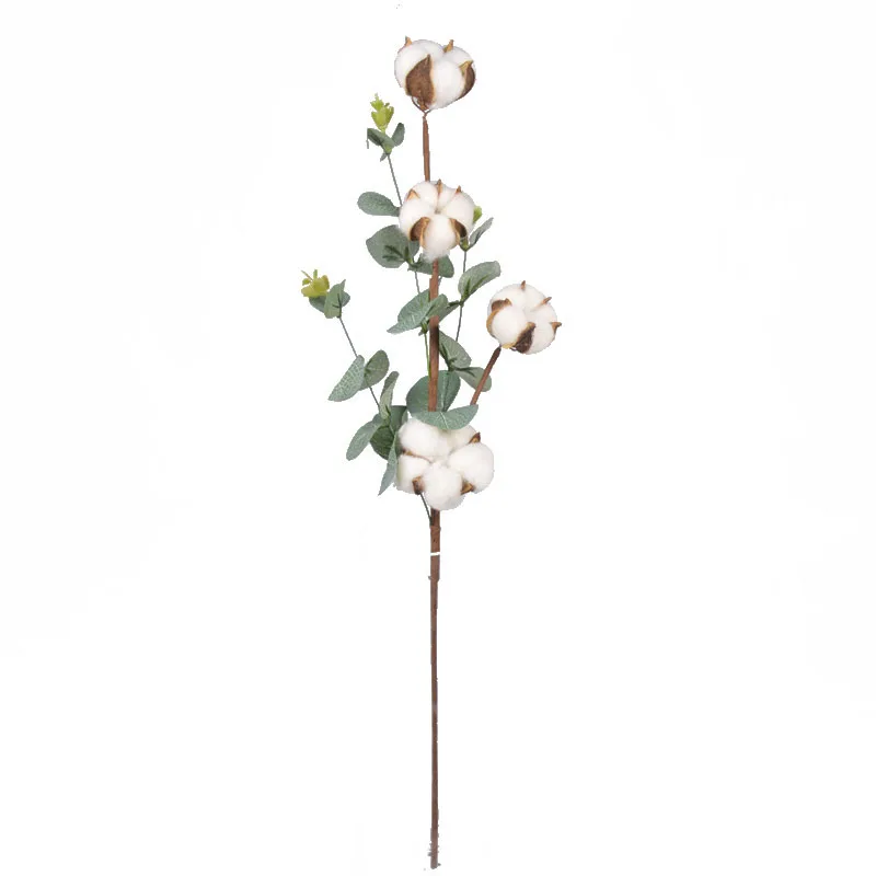 

4Balls per Stem Cotton Flower Dried Cotton Eucalyptus Naturally Artificial Flower Picks Natural Cotton Balls reed pampas bulrush