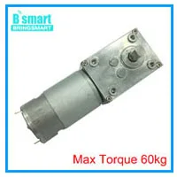 Bringsmart A58SW31ZY редуктор ed Мотор DC 12 В 24 В червячный редуктор 5-470r с высоким крутящим моментом D вал двигатель обратный самоблокирующийся мини-мотор