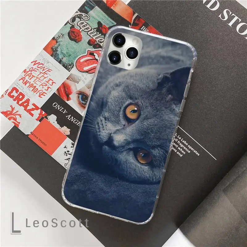 

Chartreux cat cute lovely Phone Cases For iphone 12 5 5s 5c se 6 6s 7 8 plus x xs xr 11 pro max