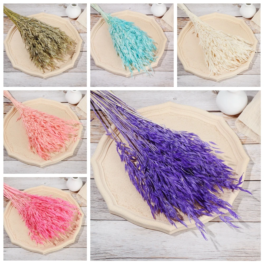 25/50PCS Real Wheat Ear Flower Decoration Natural Pampas Rabbit Tail Grass Dried Flowers for Wedding Party DIY Craft Bouquet - купить по