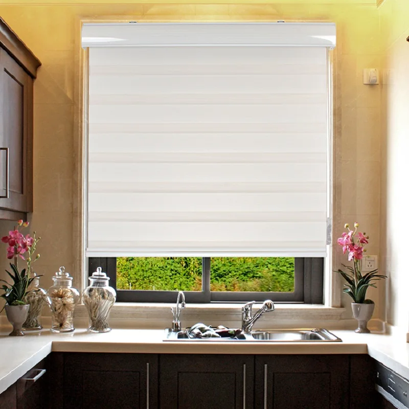 Стандартный индивидуальный элегантный дизайн рулонные шторы с зебровым