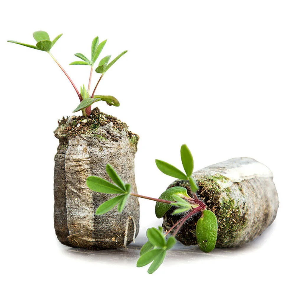 

100pcs Seedling Soil Block Compressed Block Gardening Tool Potted Plant Seed Nursery Nutritional Soil Peat Pellets