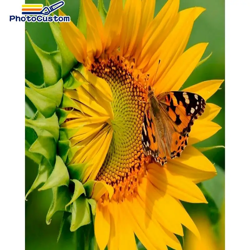 

PhotoCustom DIY sunflowers and butterfly Pictures By Number Kits painting by numbers Paints Artwork Unique Gift Wall Decor